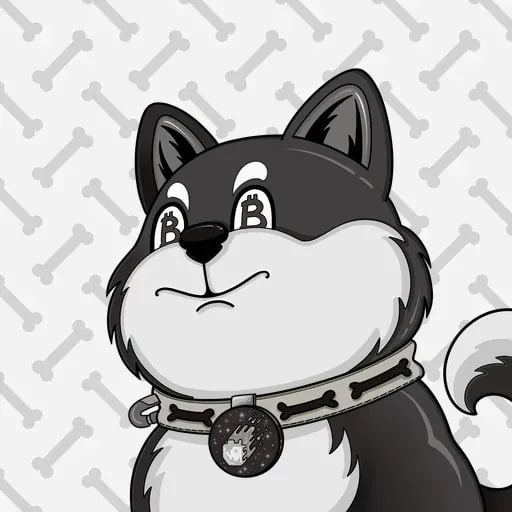 Akita Mia 4