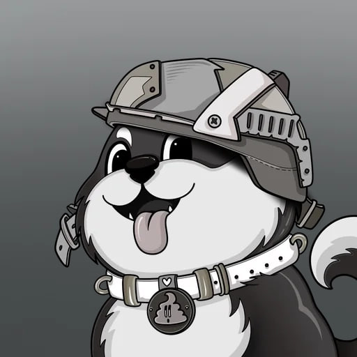 Akita Mia 4
