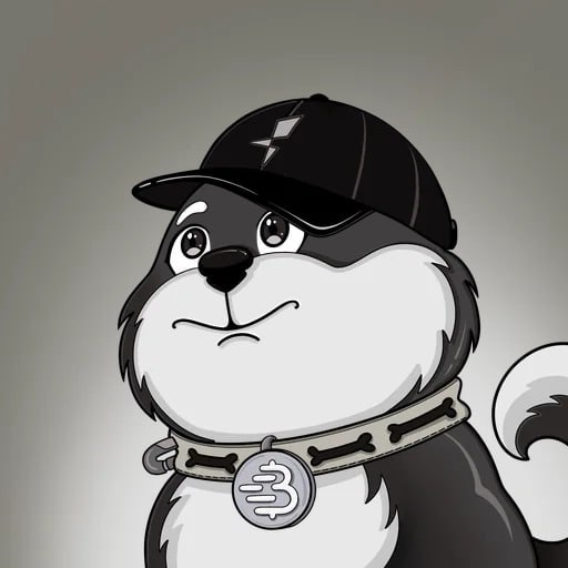 Akita Mia 4